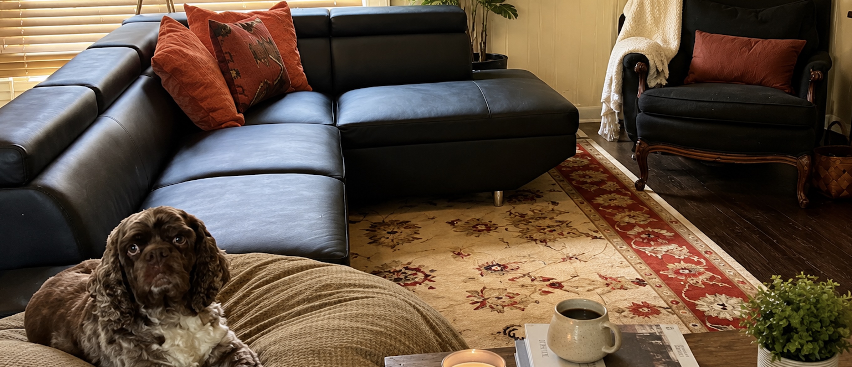 A curated collection of products I actually use, love, or wish I'd found sooner.
